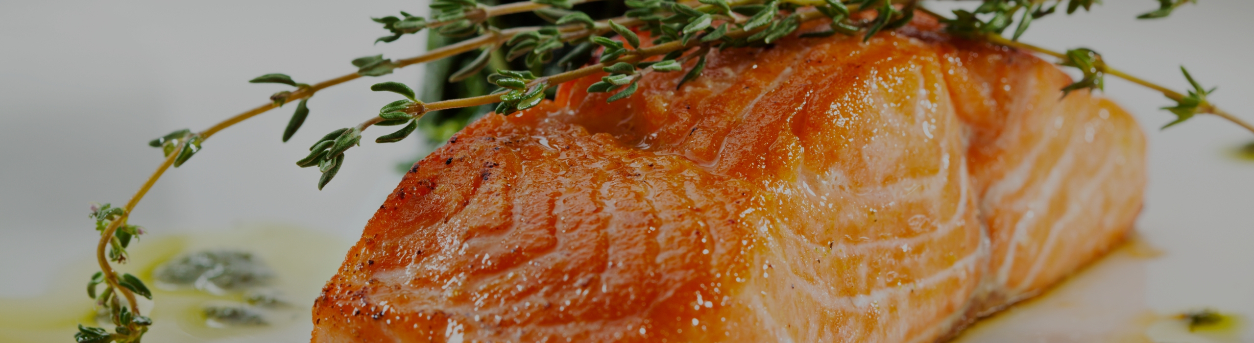 Salmon 1 banner