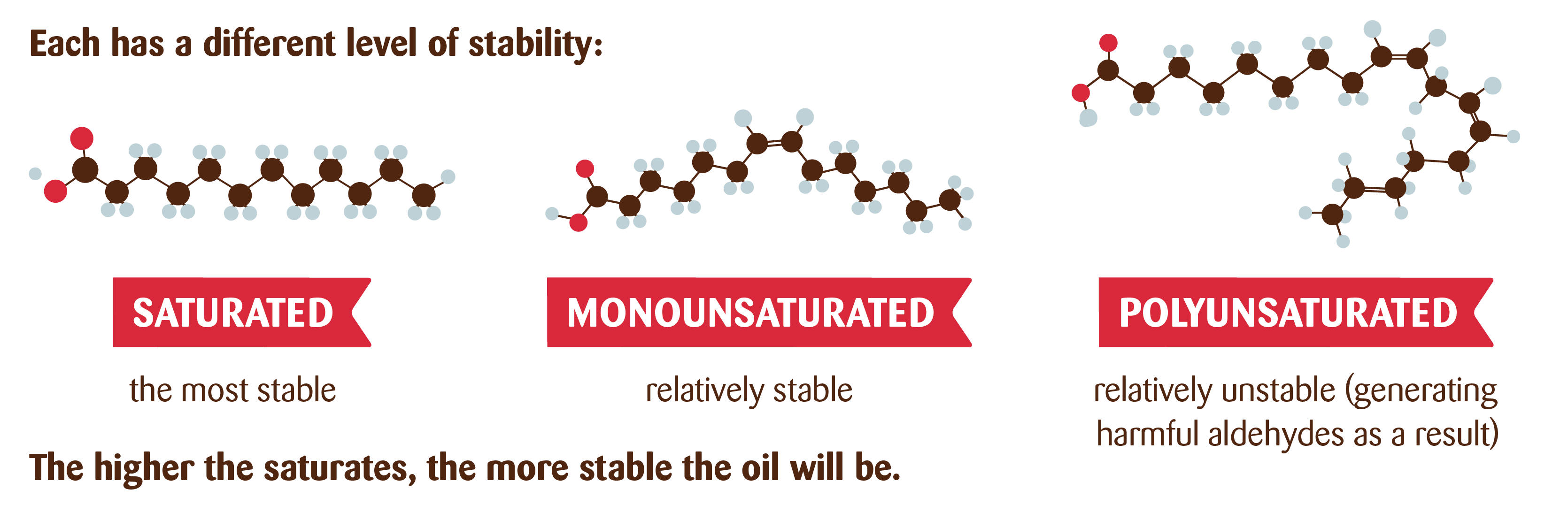 Types of Fatty acid Graphic