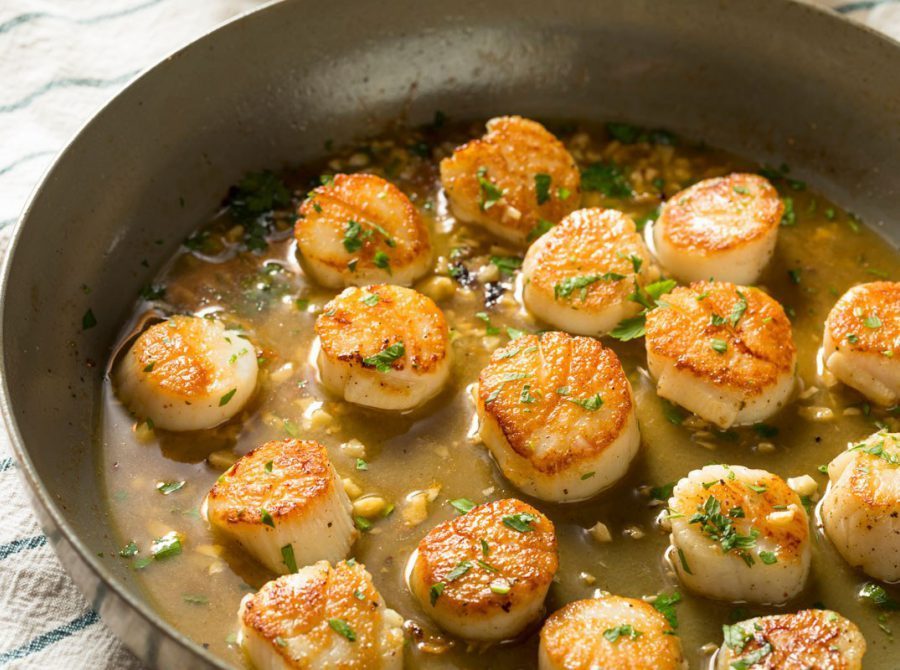 Seared garlic and herb scallops