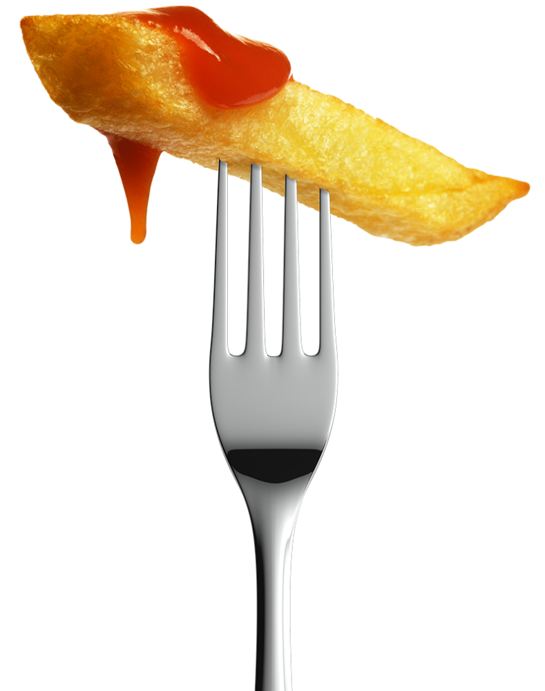 Chip with fork copy 3